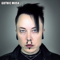 Meme Elon Musk