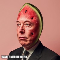 Meme Elon Musk