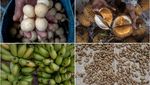 Menjaga Hutan dan Sumber Pangan ala Suku Dayak Pitap
