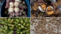 Anang mengatakan, berbagai jenis pangan telah tersedia dari alam di wilayah hutan adatnya, bagi mereka, bertani dan membuka ladang secara tradisional adalah bagian dari ritual kepercayaan adat serta menjaga hutan adat beserta isinya adalah sebuah kewajiban, bagian dari kehidupan yang diwariskan turun temurun dari leluhur.