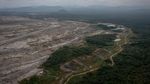 Menjaga Hutan dan Sumber Pangan ala Suku Dayak Pitap
