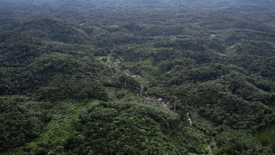 Menjaga Hutan dan Sumber Pangan ala Suku Dayak Pitap