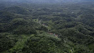 Menjaga Hutan dan Sumber Pangan ala Suku Dayak Pitap