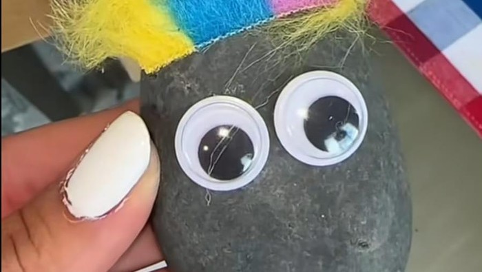 Pet rock peliharaan batu yang banyak digunakan masyarakat Korea Selatan.
