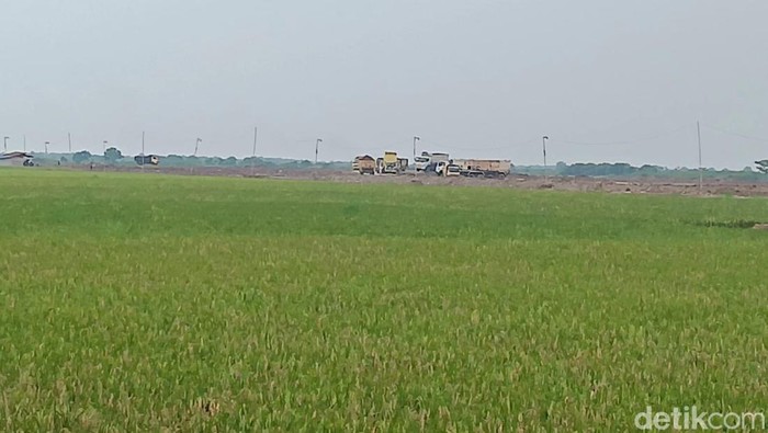 PIK2
