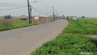 Lebih jauh, detikcom juga menemukan proyek pengembangan PIK 2ini juga mulai dikerjakan di sekitar Desa Kronjo. Proyek ini dapat dilihat langsung dari sisi jalan Raya Kronjo-Mauk. Berbeda dengan kawasan sebelumnya, di sekitar proyek ini ada tanda berupa plang bertuliskan pengerjaan proyek PIK 2.