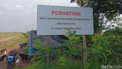 Potret Proyek Rp 40 Triliun yang Direstui Jokowi Jadi PSN