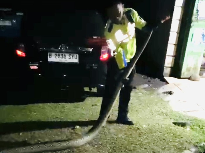 Polisi mengevakuasi ular piton di Jalan Poros Maros-Bone, Kappang, Kabupaten Maros.