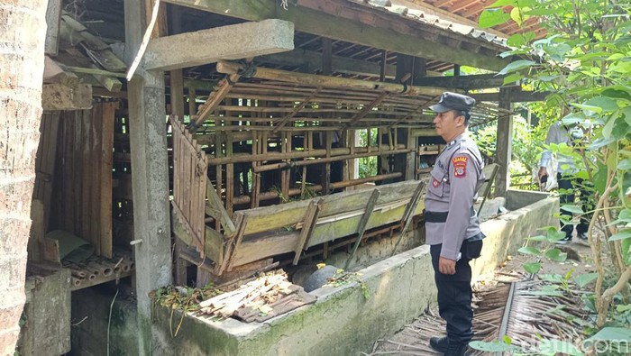 Polisi saat mengecek kondisi TKP pencurian kambing di Kokap, Kulon Progo, Senin (13/5/2024).