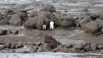 Potret Udara Kerusakan Akibat Banjir Lahar Dingin di Kaki Gunung Marapi