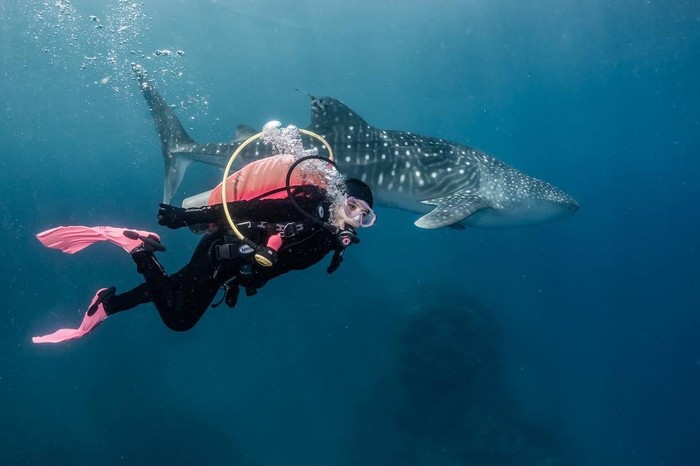 Prilly Latuconsina diving di Gorontalo