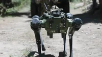 Ngeri! Marinir AS Uji Coba Robot Anjing Dipersenjatai Senapan Mesin