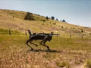 Sangat Canggih, Kenapa Robot Tidak Bisa Berlari Lebih Cepat dari Cheetah?
