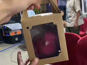 Pernikahan Viral Souvenirnya di Luar Nurul, Anak Ayam Warna Warni