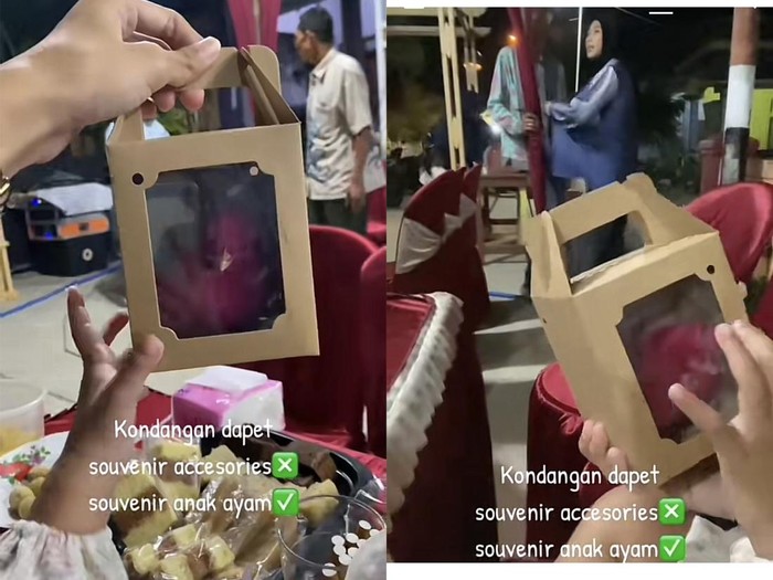 Souvenir pernikahan di Mojokerto, Jawa Timur mendadak viral karena berupa anak ayam beda dari yang lain