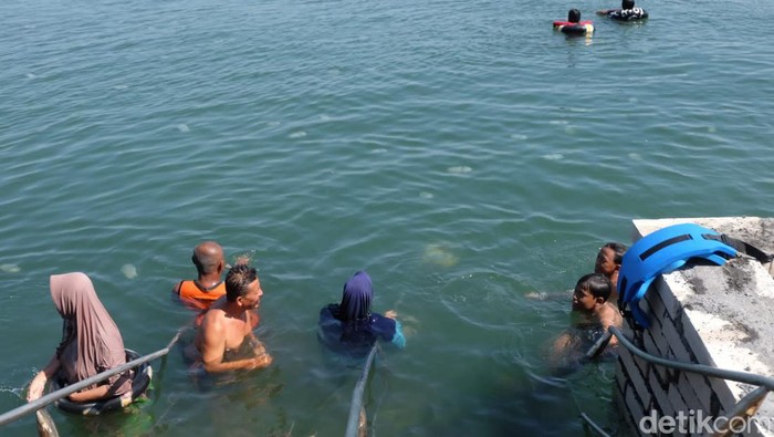 Warga berenang dengan ubur-ubur di pantai Mayangan Probolinggo