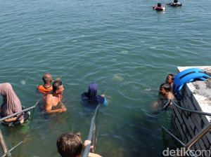 Jutaan Ubur-ubur Menyerbu Pantai Probolinggo, Warlok Renang dengan Santuy