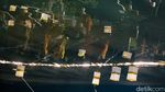 40 Bikkhu Thudong Larungkan Lampion di Danau Taman Mini