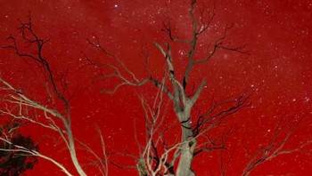 Negara-negara seperti Australia, Selandia Baru, Antartika, dan sebagian Amerika Selatan menyediakan lokasi pengamatan terbaik untuk Cahaya Selatan. Fotografer Christian Spencer memotret langit merah cerah di atas Sungai Murray, Australia. Foto: Instagram christianspencer via ABC.net