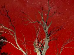 Aurora Bukan Cuma Cahaya Utara, Ada Cahaya Selatan