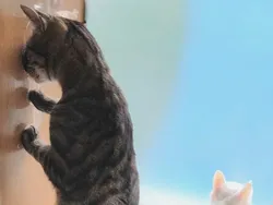 Finalis Comedy Pet Photo Bikin Gemes dan Ngakak