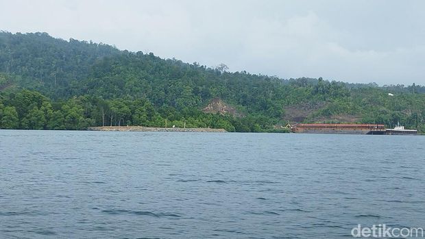 Aktivitas pengangkutan ore nikel melalui Dermaga Jetty di Desa Fritu, Kecamatan Weda Utara. Tampak hutan mangrove di areal jetty lenyap.