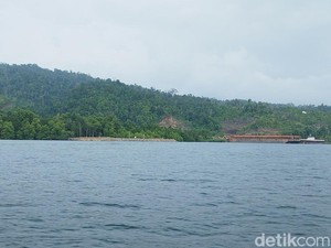 Lahan Warga di Halmahera Tengah Dalam Cengkeraman Industri Tambang