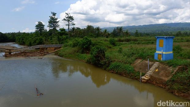 Kondisi sungai Akejira yang bersebelahan dengan lahan sawah milik petani di Desa Kulo Jaya, transmigran Kobe. (Nurkholis Lamaau/detikcom)