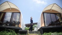 Glamping cantik ini baru dibuka sejak Desember 2023 lalu. (Ari Saputra/detikcom)
