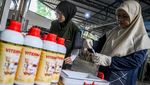 Potret Sapi Ternak Divaksinasi demi Cegah PMK