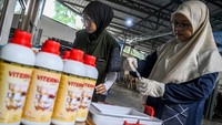 Petugas menyiapkan vaksin cavac penyakit mulut dan kuku (PMK) untuk sapi ternak di Peternakan Mutiara Halim, Cipondoh, Kota Tangerang, Banten, Selasa (14/5/2024).
