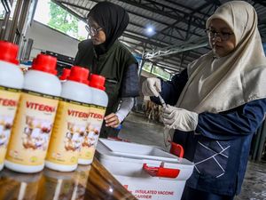 Kementan Gelontorkan Vaksin Antisipasi Kasus PMK Sapi