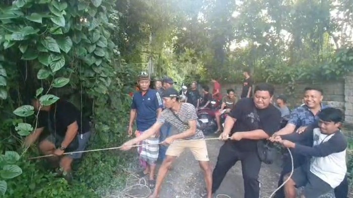 TRC BPBD Gianyar mengevakuasi motor jatuh ke jurang di Desa Kemenuh, Sukawati Gianyar yang dikendarai WN Bulgaria, Selasa (14/5/2024). (Dok BPBD Gianyar)