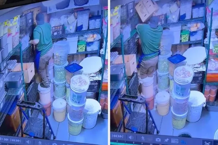 10 Potret Rahasia Dapur Resto Terungkap, Banyak yang Jorok! 10 Potret Rahasia Dapur Resto Terungkap, Banyak yang Jorok!