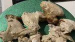 10 Potret Rahasia Dapur Resto Terungkap, Banyak yang Jorok!