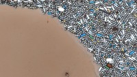 Pakar lingkungan memperingatkan bahwa tidak ada alternatif lain bagi beberapa kota di negara bagian tersebut selain merelokasi seluruh lingkungan.