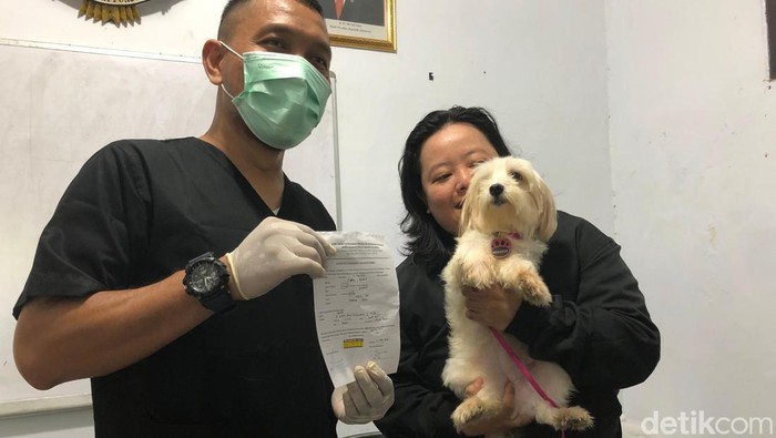 Pemilik kucing hingga anjing ramai-ramai membawa peliharaannya untuk divaksinasi rabies. (Rifka/detikcom)