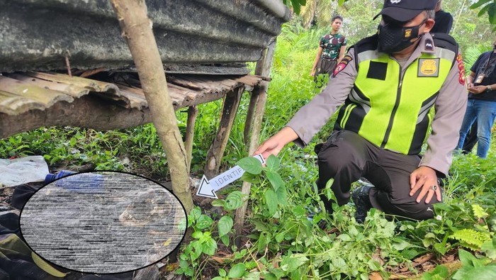 Penemuan mayat di bawah pondok kebun sawit Muara Enim.