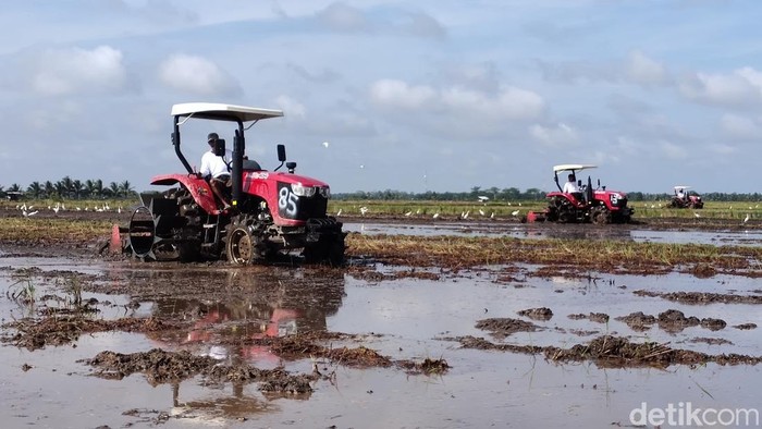 Petani di Sumsel sedang membajak sawah