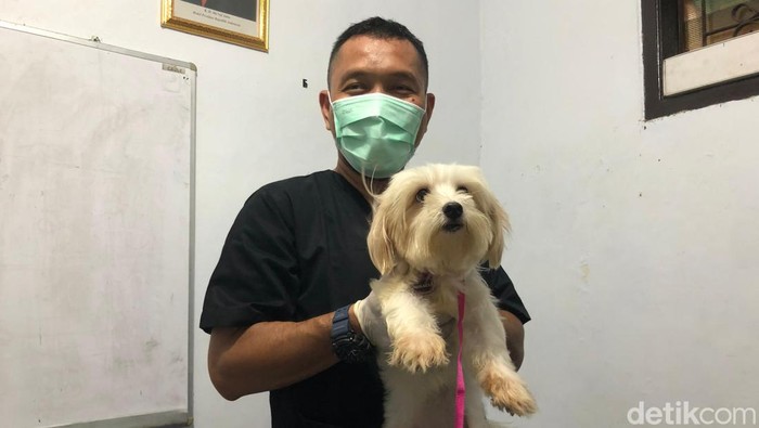 Petugas vaksin Harli Ihsan (39). (Rifka/detikcom)