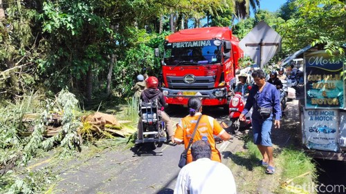 Pohon tumbang di Jalan Amlapura-Denpasar membuat kemacetan sepanjang 3 km.