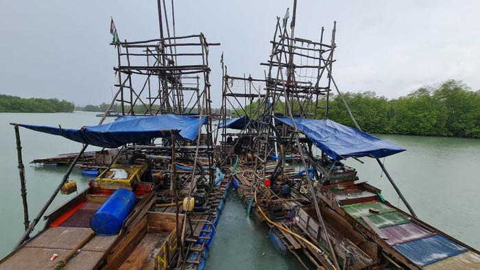 Perusak Mangrove di Belitung Koordinator Tambang Ilegal, Jaringan Diburu KLHK
