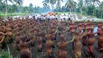 1.000 Patung Penari Gandrung Hiasi Taman di Banyuwangi