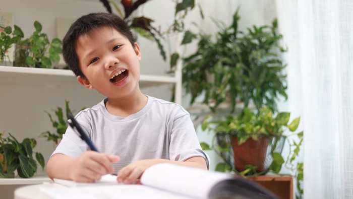 30 Contoh Soal ANBK SD AKM Literasi Membaca serta Kunci Jawaban