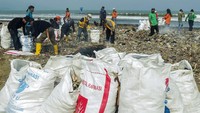 Aksi bersih-bersih itu merupakan bentuk kepedulian terhadap lingkungan serta upaya mengurangi sampah yang terbawa arus laut.   