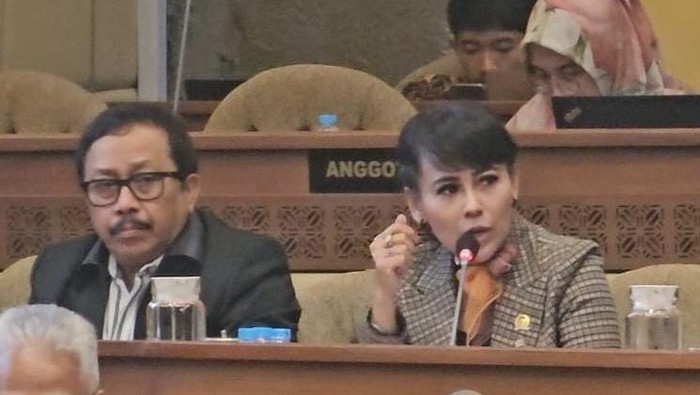 Anggota Komisi II DPR F-Demokrat Rezka Oktoberia (dok.ist)