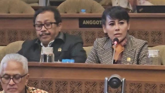 Anggota Komisi II DPR F-Demokrat Rezka Oktoberia (dok.ist)