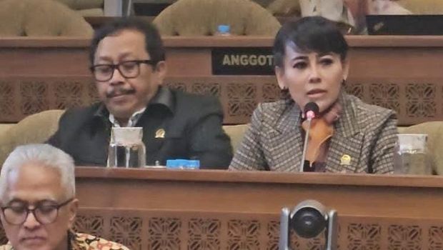 Anggota Komisi II DPR F-Demokrat Rezka Oktoberia (dok.ist)