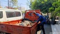 Agar tidak membahayakan warga. Kemudian petugas Damkar Bangkalan kemudian berkoordinasi dengan BKSDA Jatim.