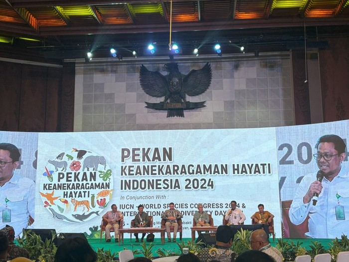 Jurus Lembaga Konservasi Cegah Kepunahan Badak Sumatera & Elang Jawa